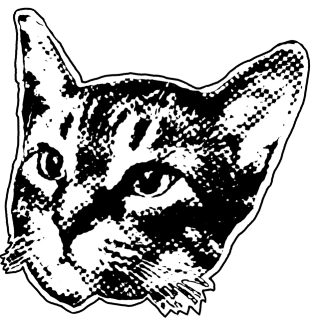 georgia, another beautiful cat