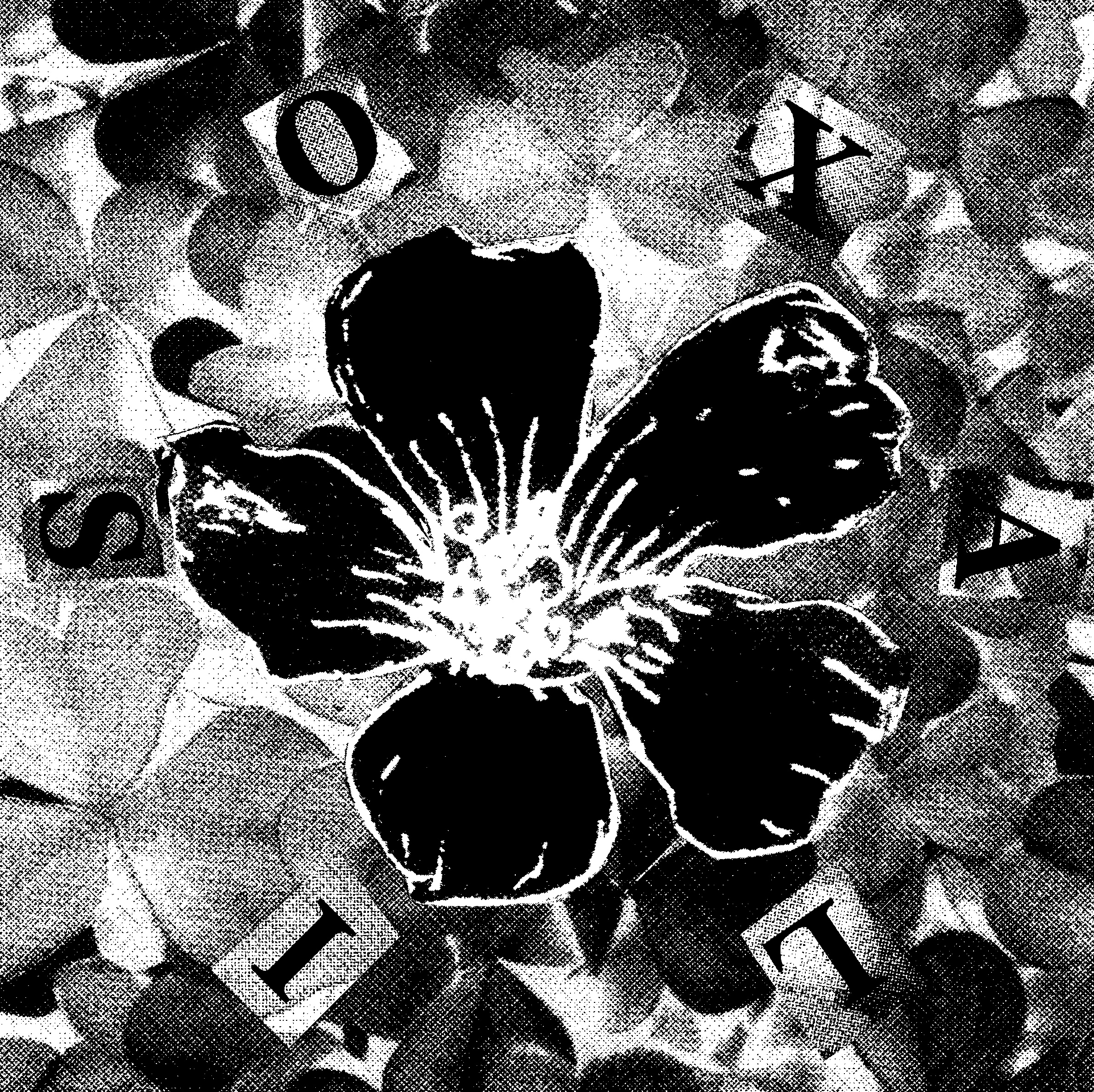 background of flowers with circular text saying 'oxalis'