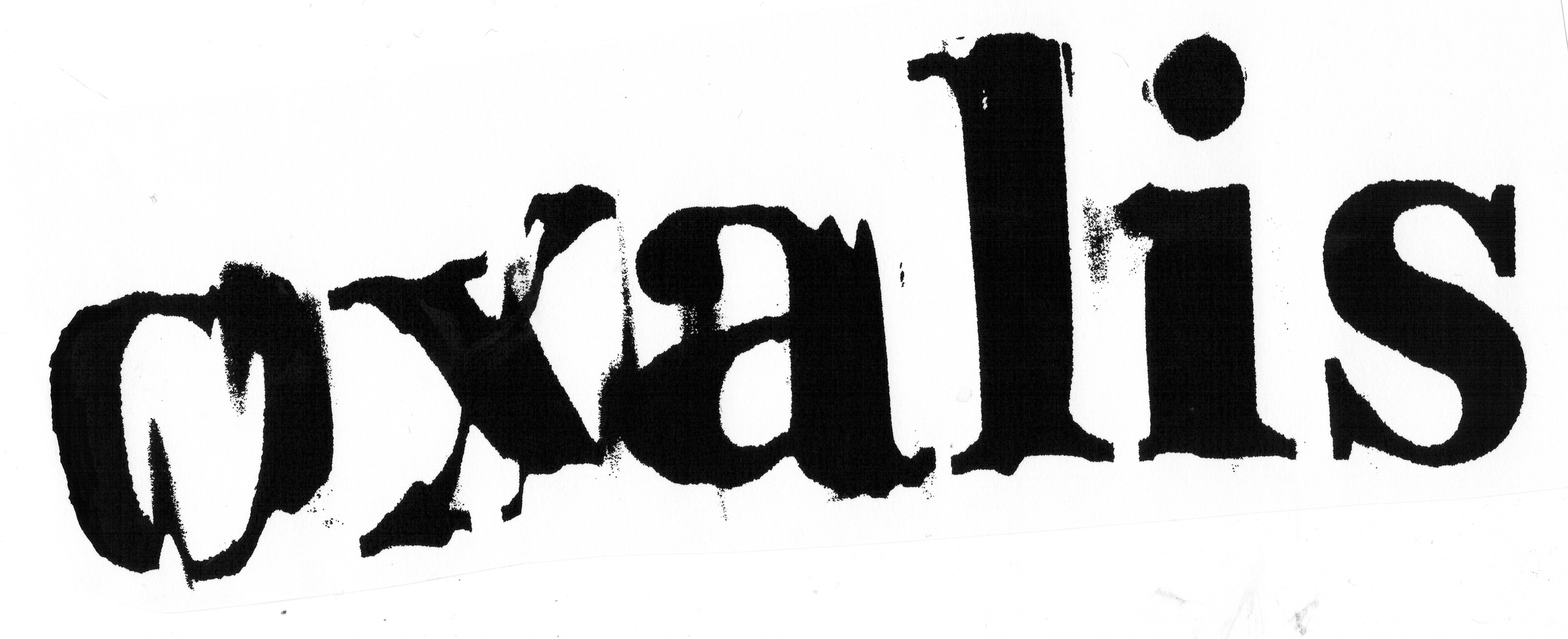 the word 'oxalis' in a melty distorted font