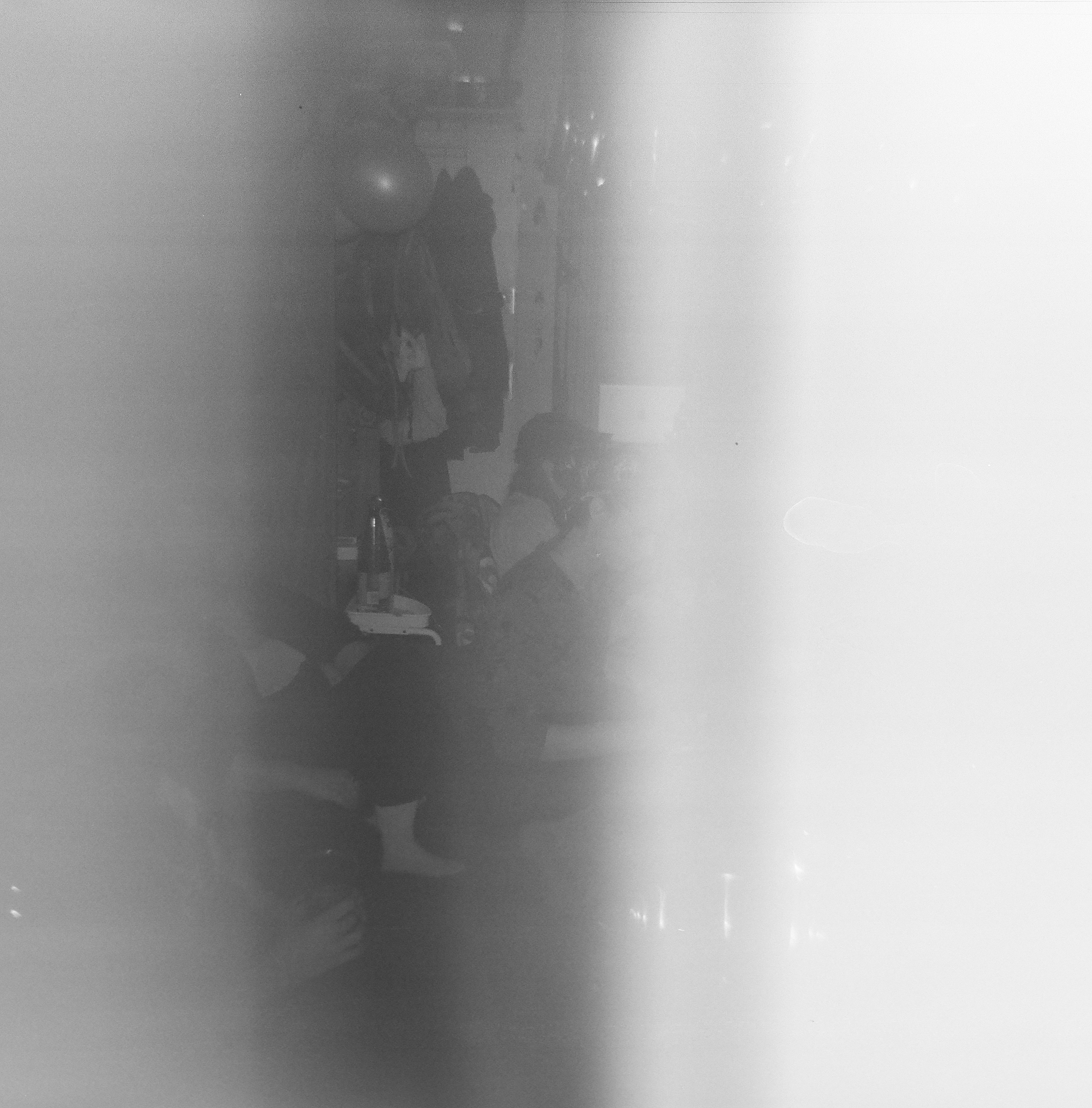 birthday party kentmere 400 holga