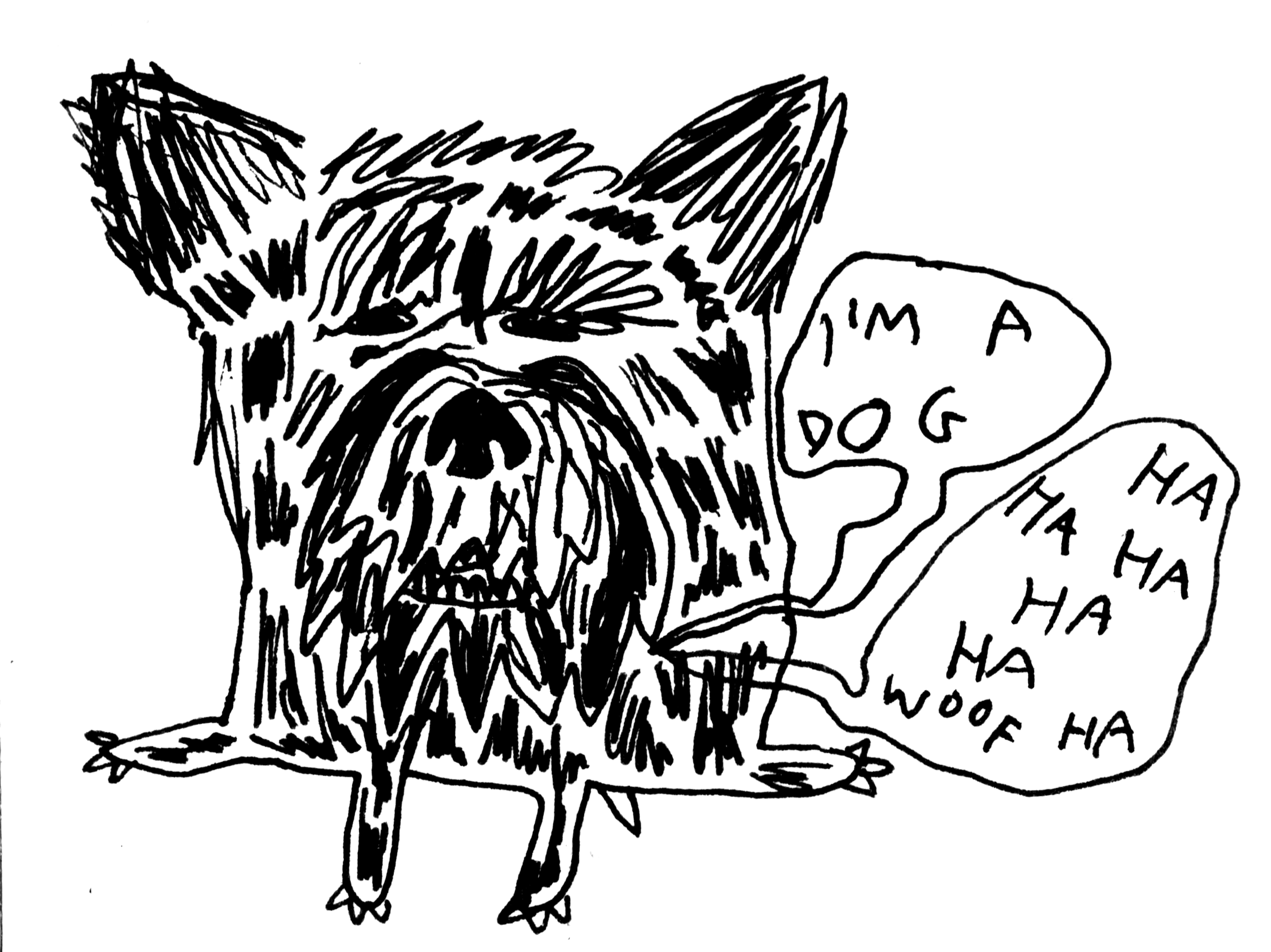 a bizarrely proportioned portrait of my dog from 2014